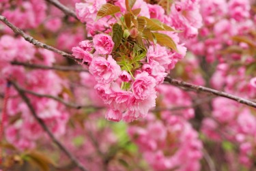 常州武进区7线下个人借款平台一站式服务，轻松解决资金难题