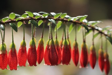 常州武进区7零用贷短借：轻松解决临时资金需求