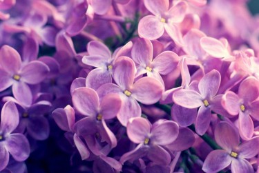 常州武进区7企业急用钱贷款攻略：快速融资解燃眉之急